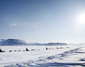 Voyage en chien de traîneau au Spitzberg, Svalbard