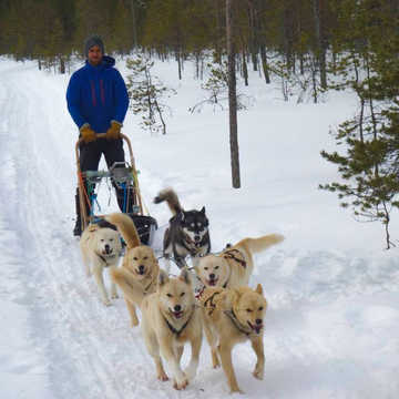 Mathieu Schoendoerffer, guide arctique en Finlande - © Schoendoerffer Mathieu Mathieu Schoendoerffer, guide arctique en Finlande