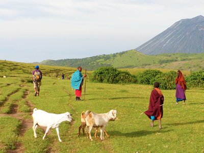 Ambiance lors d'un trek en compagnie des Masai, le volcan lengai en toile de fond