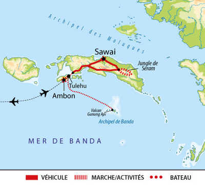 carte circuit AIMOLUQ