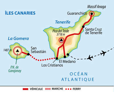 carte circuit BCANTG