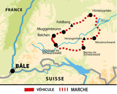 carte circuit EALFOR