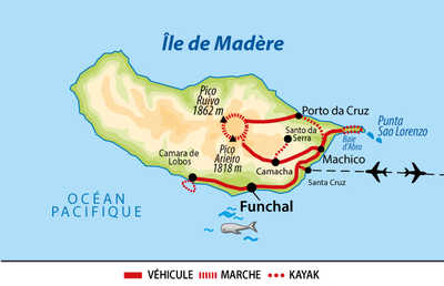 carte circuit liberté BMADMULIB