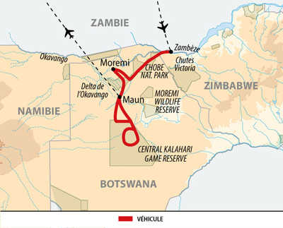 carte circuit QBOKALA