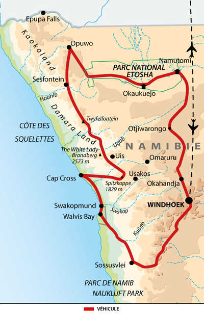 carte circuit QNAT et QNATLODG