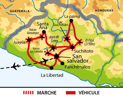 carte circuit UELSALD