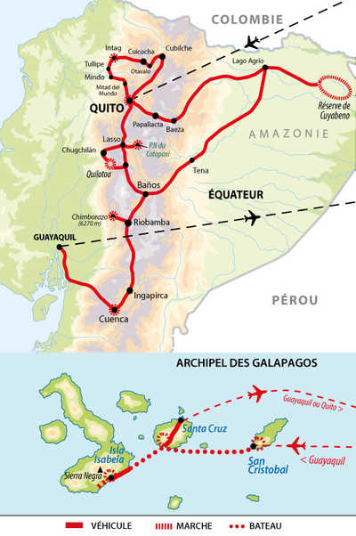 carte circuit UEQEXPGA