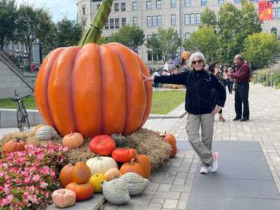 femme-adossee-a-une-citrouille-au-canada