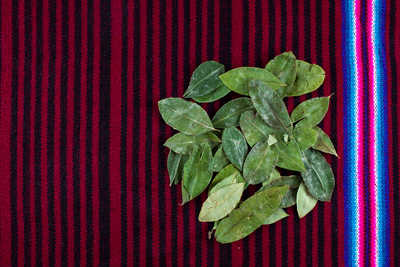 feuilles-de-coca-sur-tissu-colore-andin