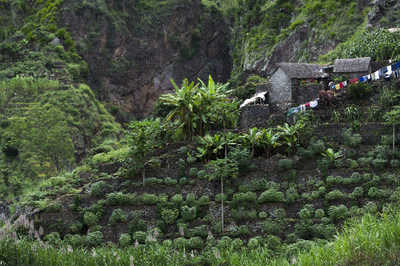 Luxuriante Santo Antao