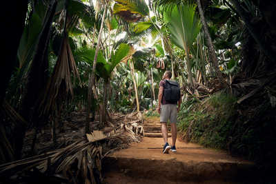 Marche dans les forêts tropicales des Seychelles
