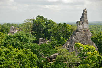 Temple du site maya de Tikal au Guatemala