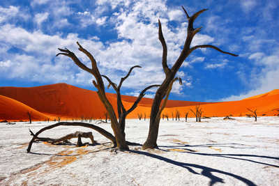 Vue sur Deadvlei