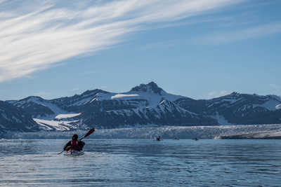 Kaye de mer en Arctique en été, Svalbard - © Yannick Long Kaye de mer en Arctique en été, Svalbard