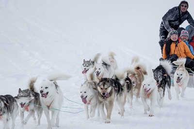 Voyage en chien de traineau au Groenland, côte Est - © Visit Greenland Voyage en chien de traineau au Groenland, côte Est