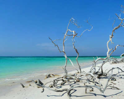 Cayo Jutias, une des plus belle plages du monde