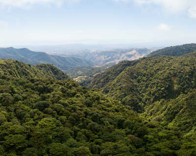 forêt de Monteverde au Costa Rica