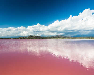 lac rose au Sénégal