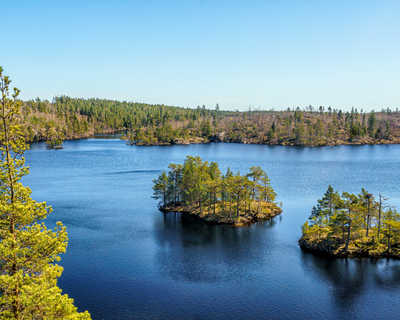 Parc national de Tyresta en Suède