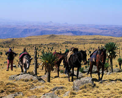 Parc national du Simien en Ethiopie