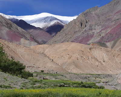 Paysage de la vallée de la Markha, au Ladakh, en Inde Himalayenne