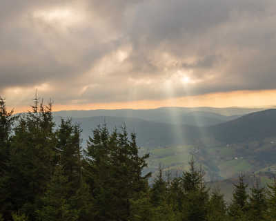 Paysage vosgien, Brézouard, Alsace, Haut-Rhin, Vosges, France