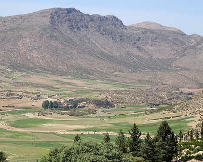 Plateau d'Ifrane, Moyen-Atlas, Maroc