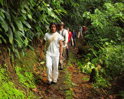 Randonneurs dans la forêt endémique colombienne