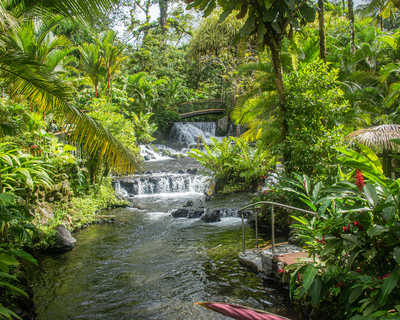 Rivière au Costa Rica