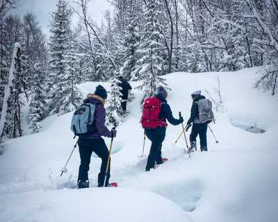 Voyage raquettes à neige en Laponie norvégienne
