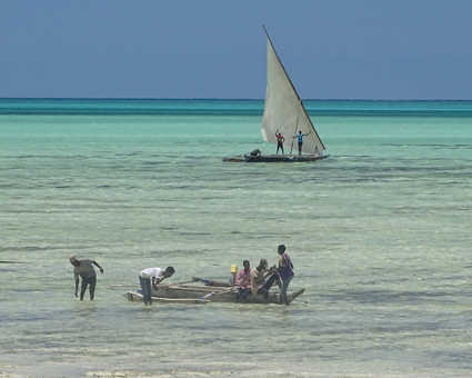 Boutres zanzibarites sur la plage de Jambiani à Zanzibar