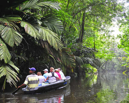 découverte en canoë du parc national Tortuguero