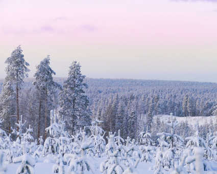 Laponie l'hiver, Finlande