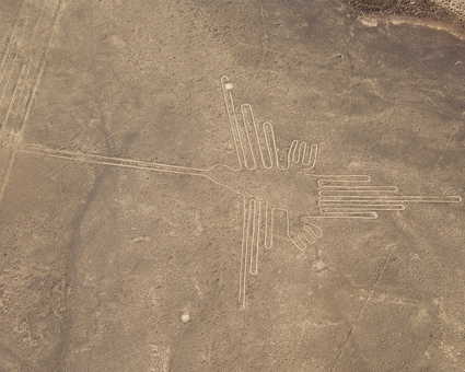 survol de l'oiseau sur les lignes de nazca
