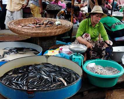 marché au poisson au Cambodge