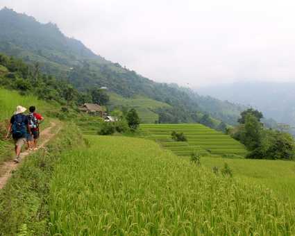 Randonnée dans les rizières de Ha Giang au Vietnam