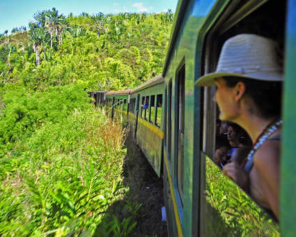 Train de la brousse à la jungle de Madagascar