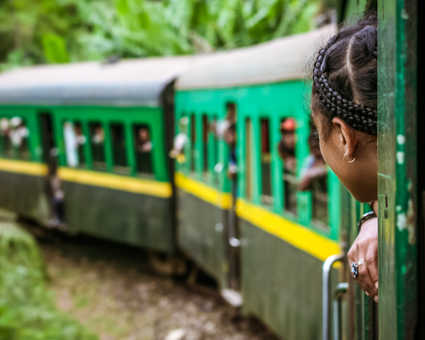 Train de la brousse à la jungle de Madagascar