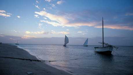 Banc d'Arguin, Mauritanie