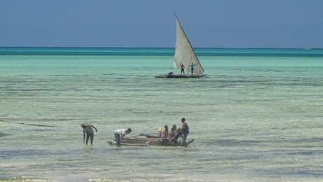 Boutres zanzibarites sur la plage de Jambiani à Zanzibar
