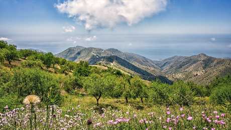 Collines andalouses lors d'une randonnée