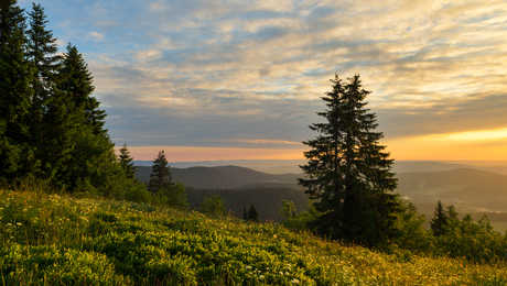 coucher-de-soleil-dans-les-montagnes-du-feldberg
