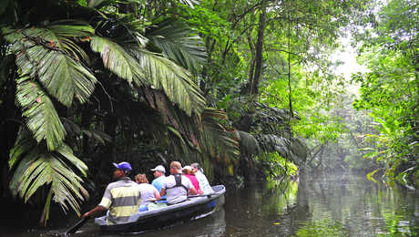 découverte en canoë du parc national Tortuguero