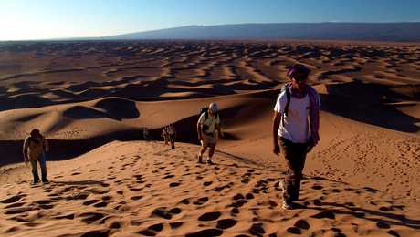 Dunes du Draa au Maroc