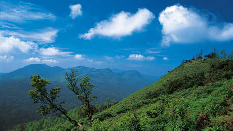 Ghats occidentaux Chaîne de montagnes en Inde