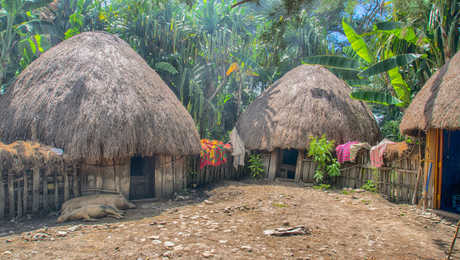Hutte traditionnelle, vallée de Baliem