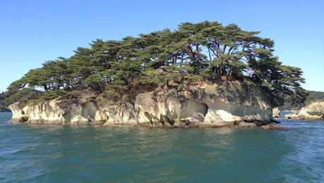 Île dans la baie de Matsushima au Japon
