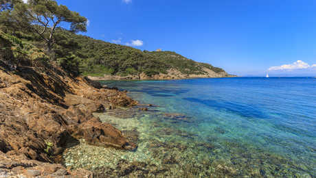 Ile de Port Cros en Provence