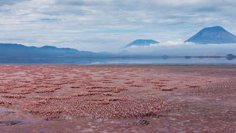 Lac Natron en Tanzanie