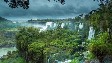 Les chutes d'Iguazu dans une végétation luxuriante, entre Argentine et Brésil